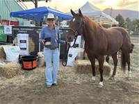 SHINERS TROOPER DUST & Cass Boltz  Aug  2025